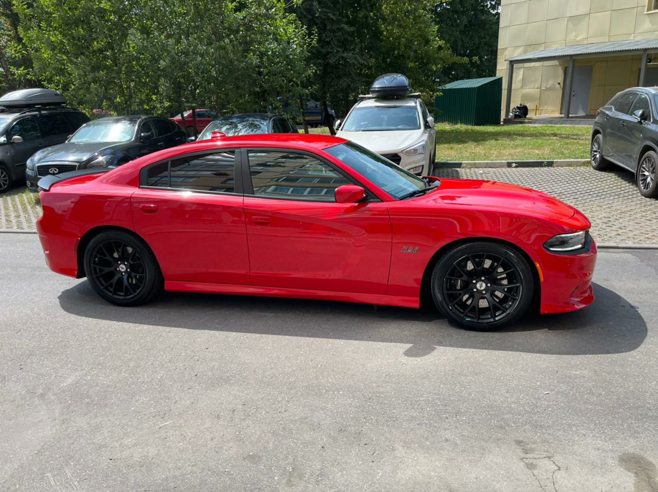 Dodge, фото из портфолия 4