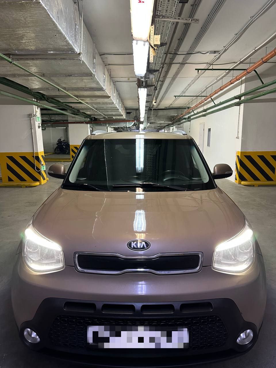 Kia, фото из портфолия 5
